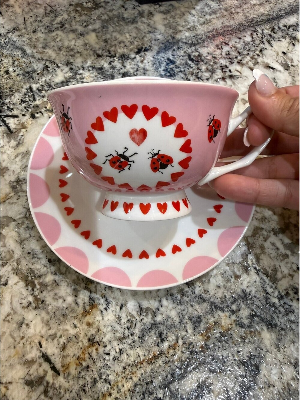 Harvest Green Studio Ceramic Teacup and Saucer Set with Ladybugs and Hearts